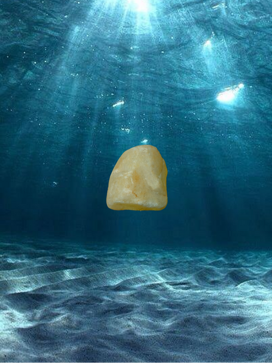 CODE F247 aquatic stones