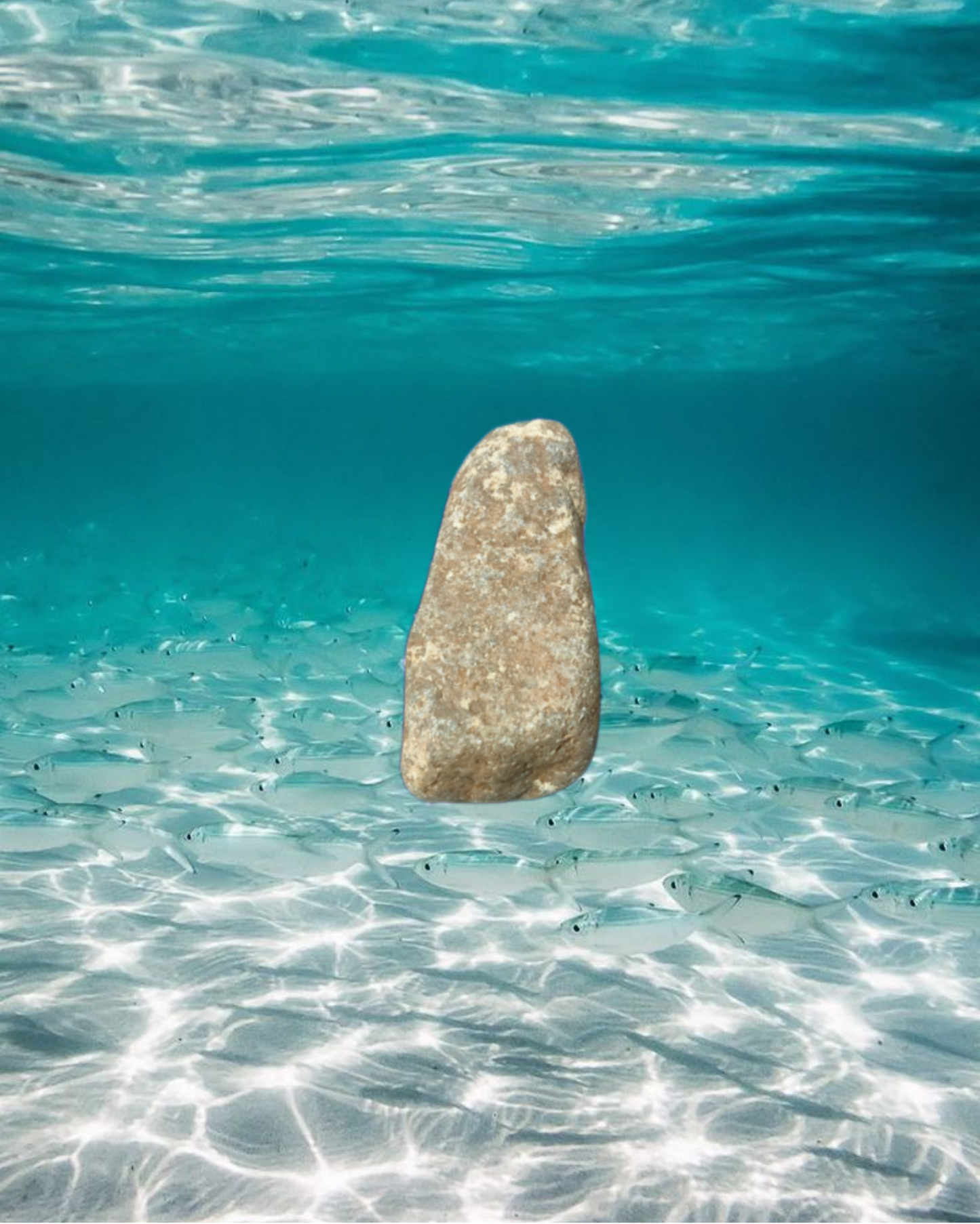 CODE F252 aquatic stone